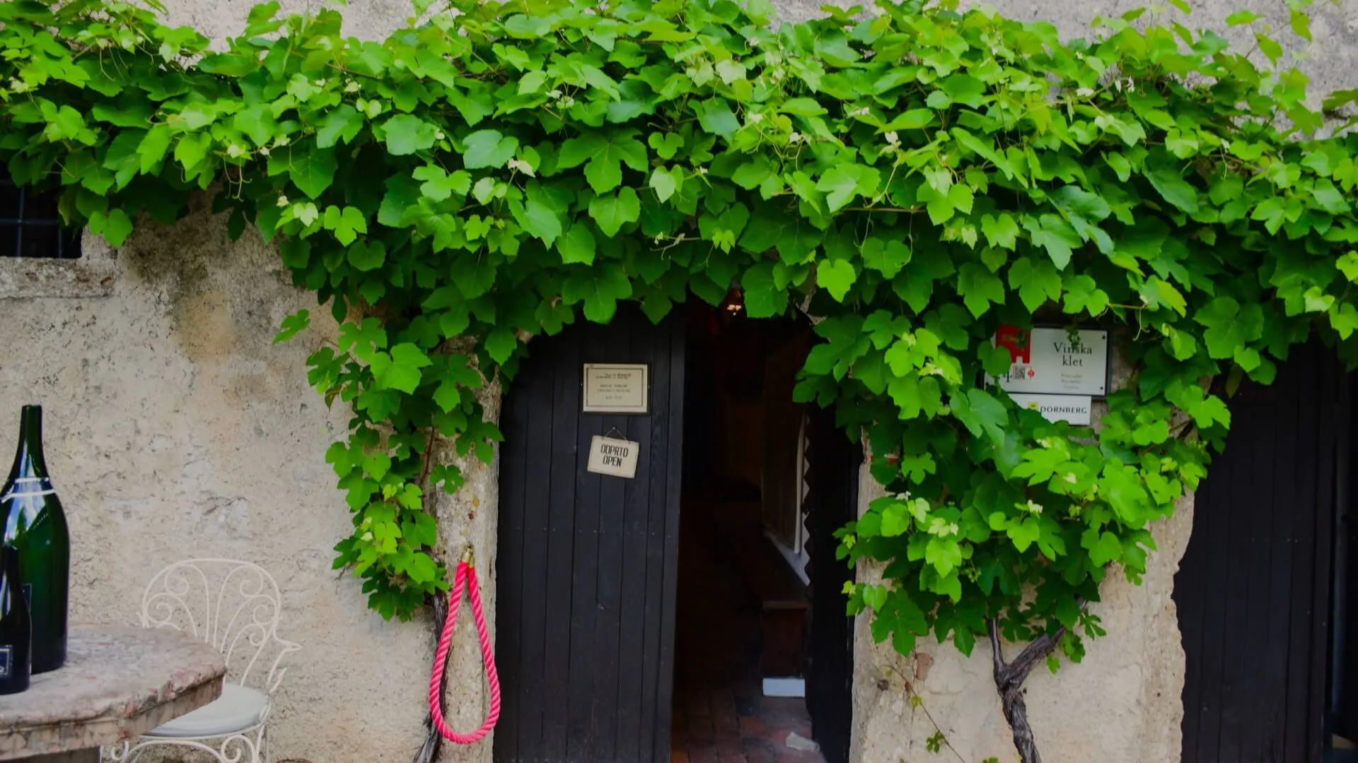 Vina Dornberg - vinska klet in vinogradi