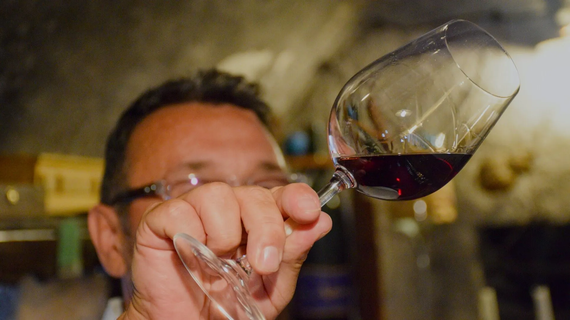 Vina Dornberg - vinska klet in vinogradi