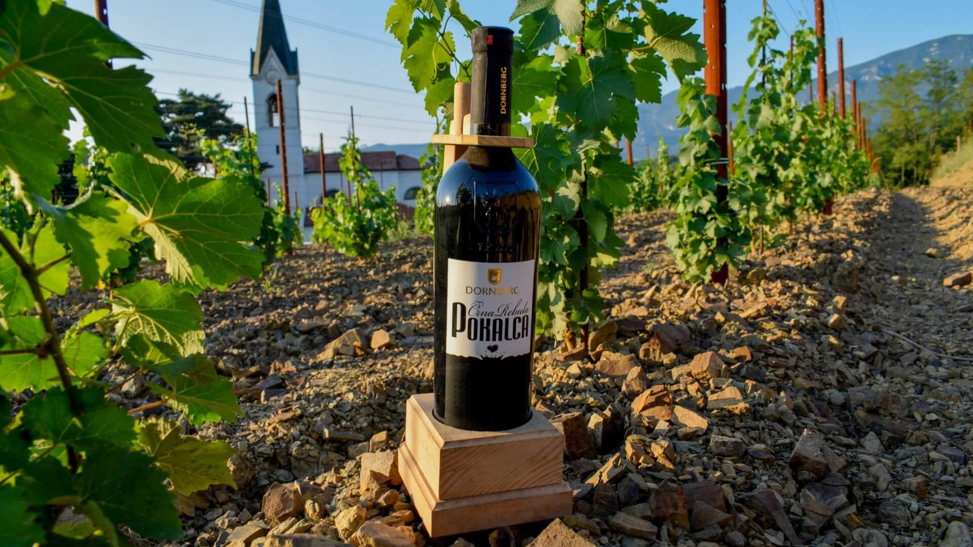 Vina Dornberg - vinska klet in vinogradi