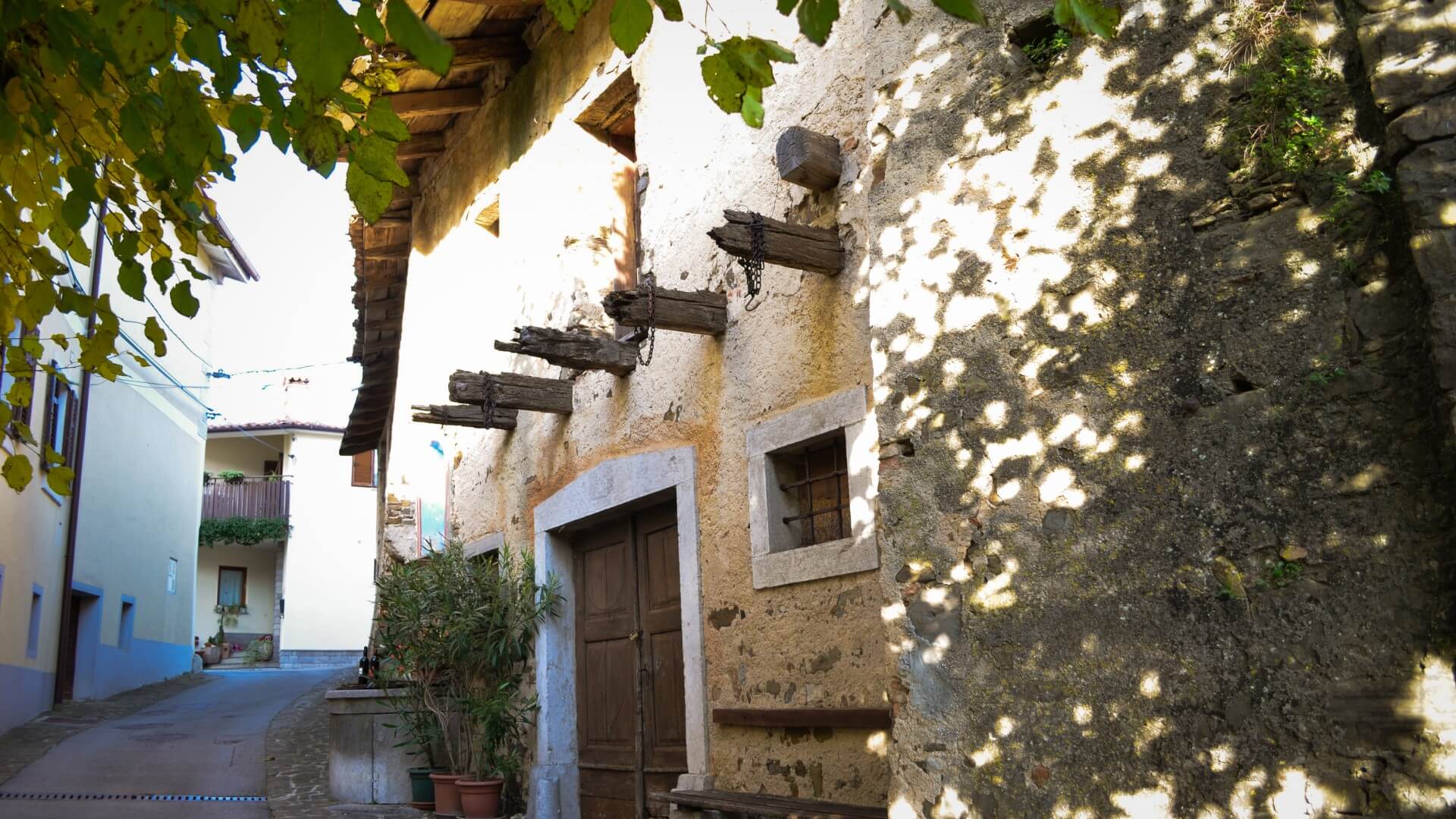 Vina Dornberg - vinska klet in vinogradi